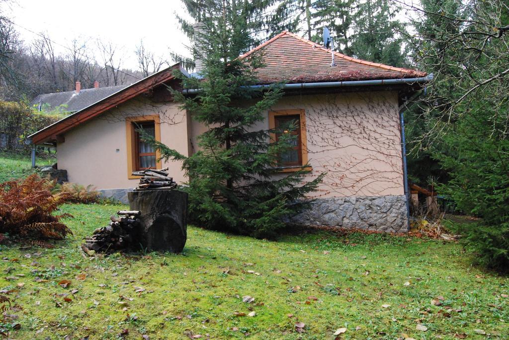 Boroka Apartmanhazak - Oereghaz Велем Стая снимка